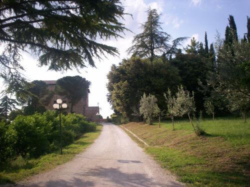 מלון Assisi Garden מראה חיצוני תמונה