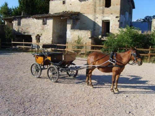 מלון Assisi Garden מראה חיצוני תמונה