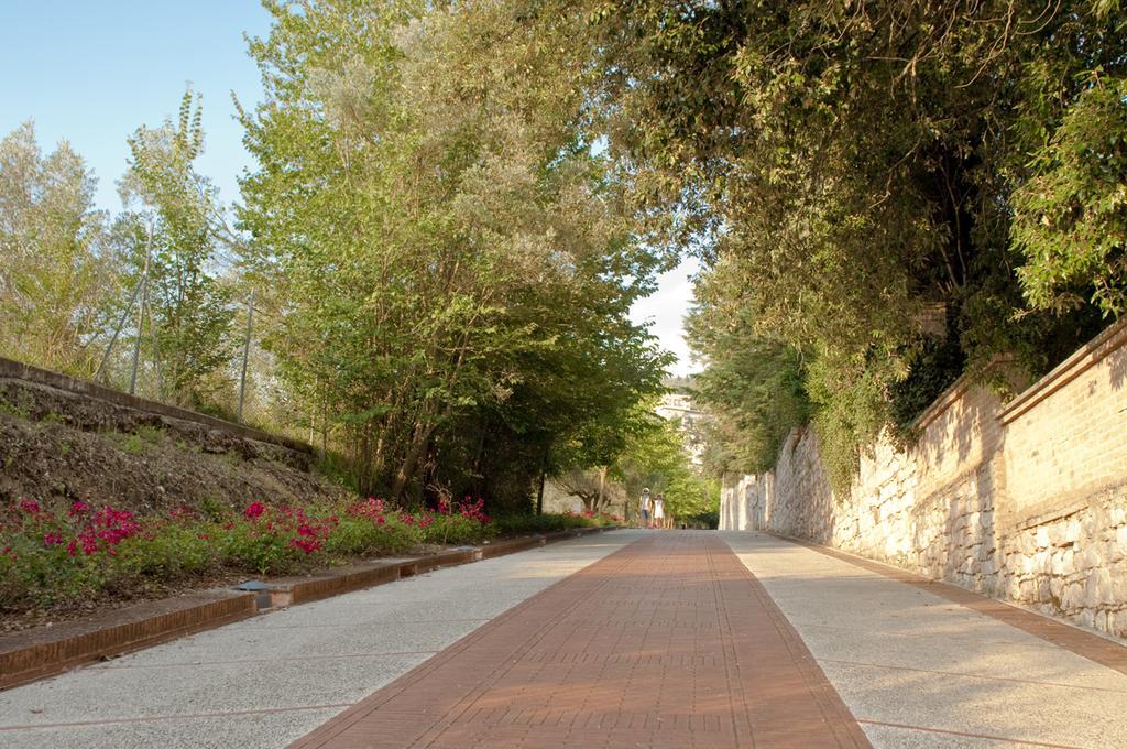 מלון Assisi Garden מראה חיצוני תמונה