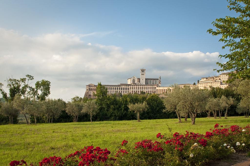 מלון Assisi Garden מראה חיצוני תמונה