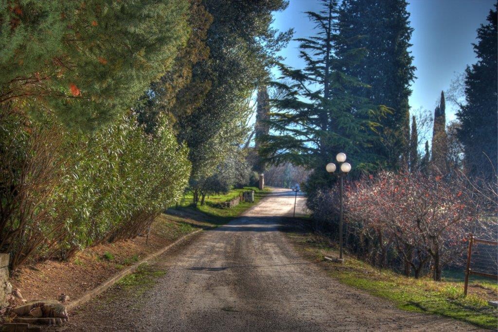 מלון Assisi Garden מראה חיצוני תמונה